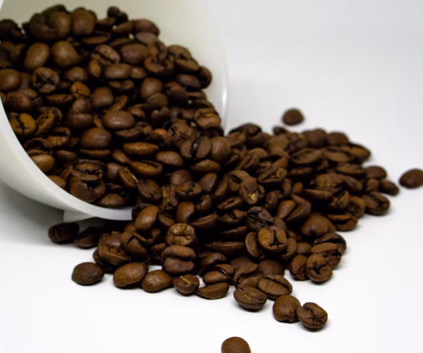 7 Best Organic Coffee Brands for 2025 With Incredible Taste